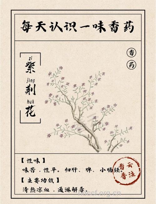 中药紫荆花有哪些治病验方