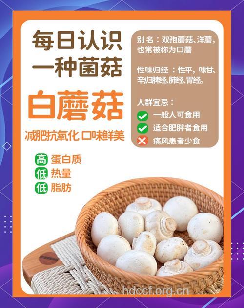白蘑菇有哪些养生功效