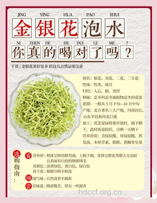 夏季怎么食用金银花养生