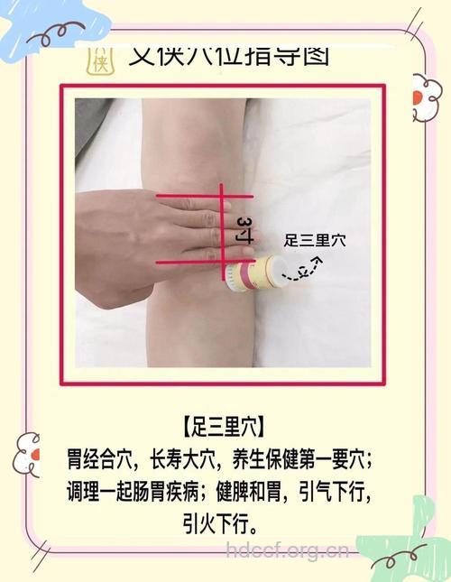 长寿灸 足三里的养生大法