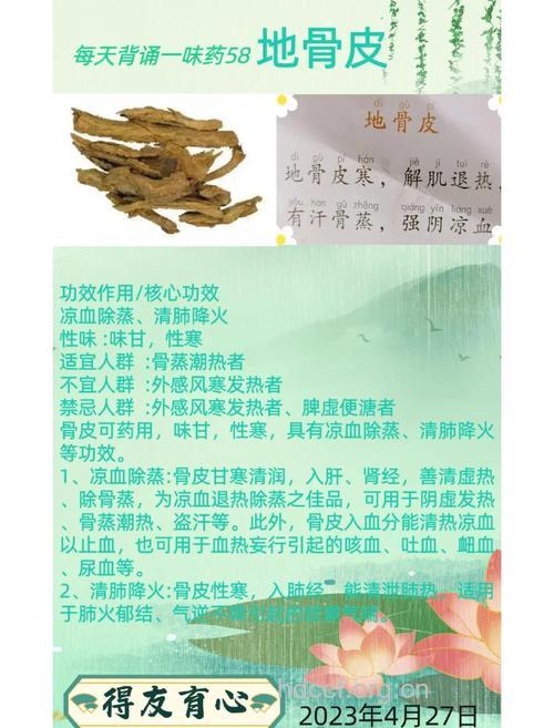 地骨皮有哪些养生功效