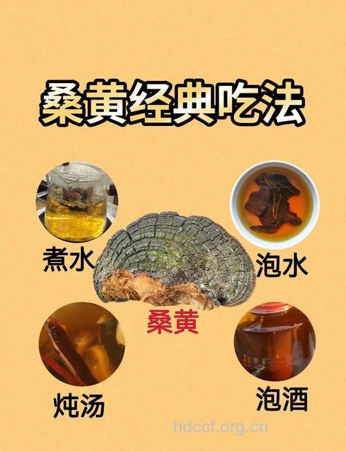 哪些桑药膳可治疗疾病