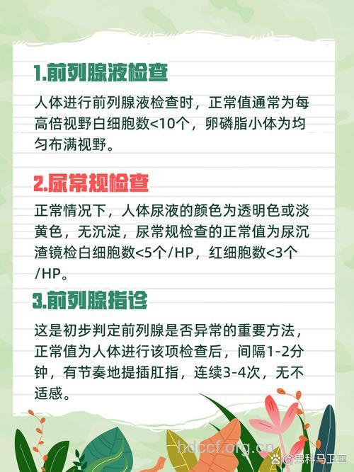 中老年男性前列腺检查项目有哪些