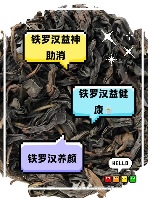 铁罗汉的功效与作用