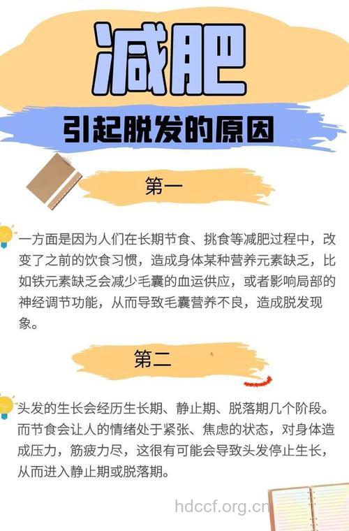 过度节食小心导致脱发