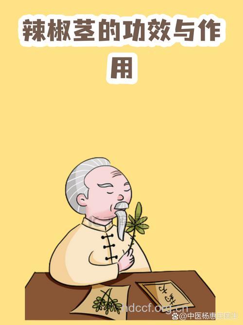 辣椒茎的功效与作用