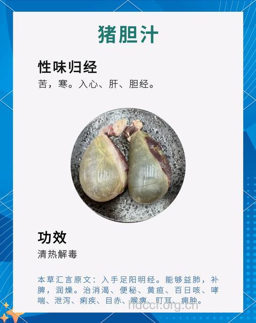 猪胆汁可治疗哪些疾病