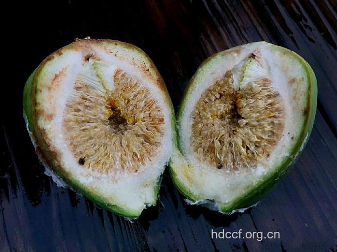 防癌抗癌食物——薜荔果