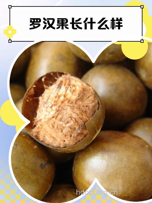 防癌抗癌食物——罗汉果