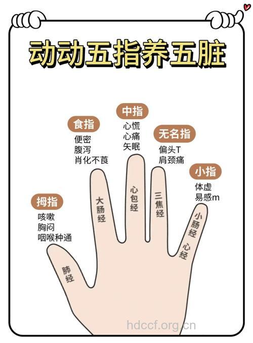 五指对应五脏之按摩法图解