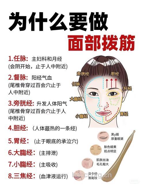 面部刮痧的美容原理及步骤