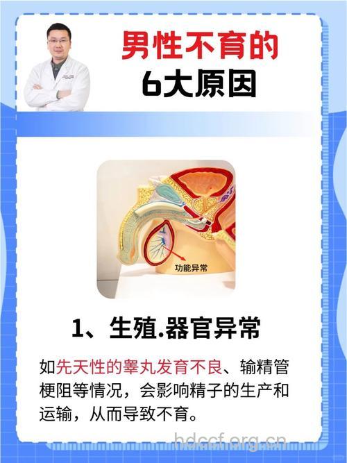 了解男性不育五步自查法