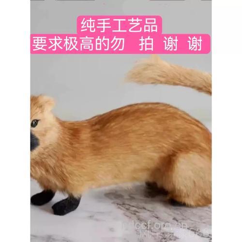 鼠皮的功效与作用