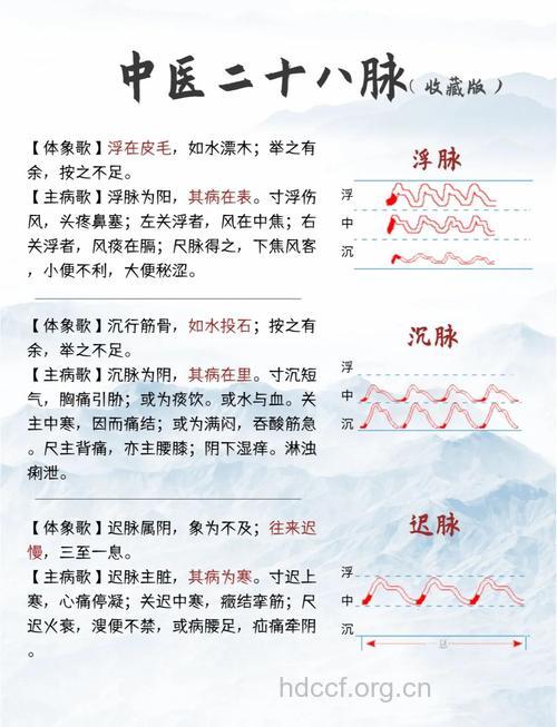 中医28种脉象 每种脉象的具体表现是什么呢?