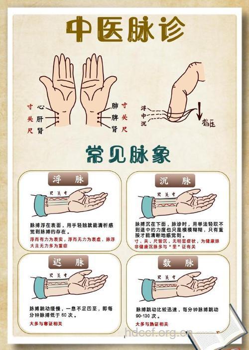 中医诊脉 不同的脉象显示的身体问题是什么?