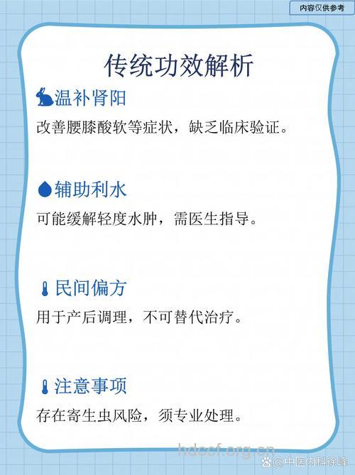 鼠肾的功效与作用