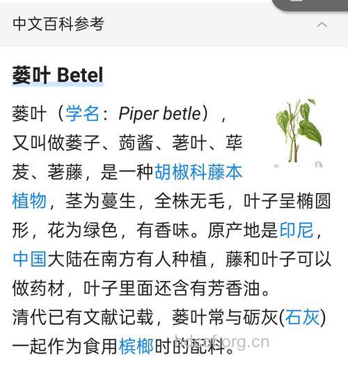 芦叶的功效与作用