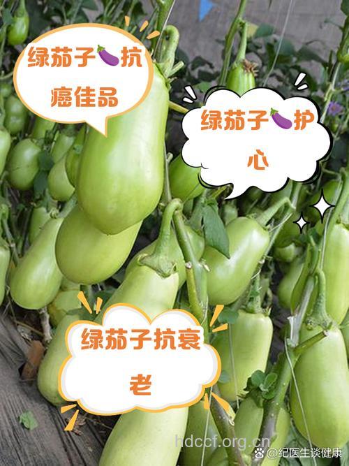 绿茶茄子大蒜能防癌抗癌