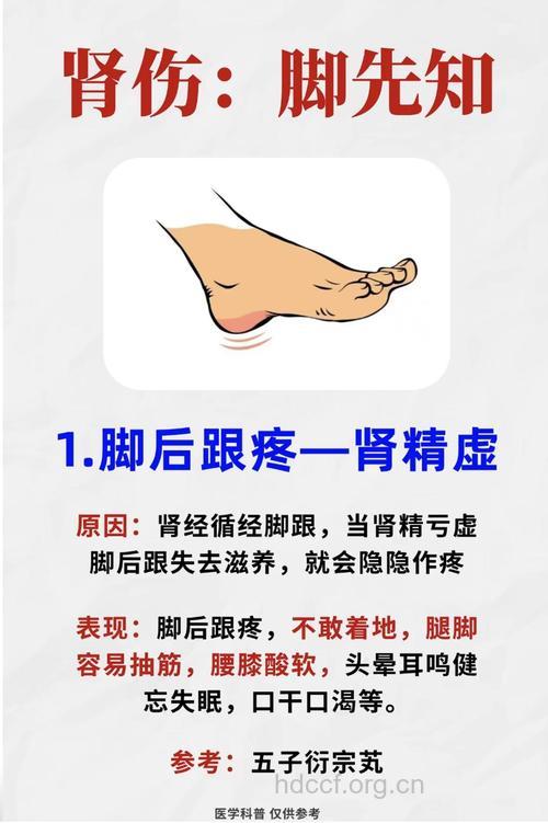 肾好不好 可以从脚部看出来