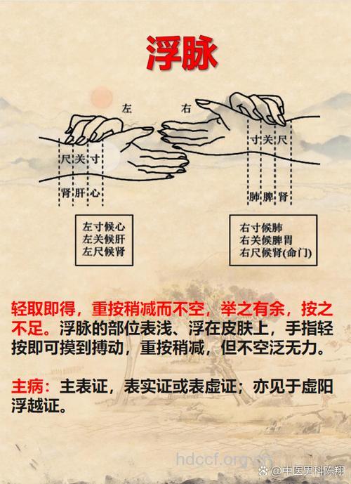 脉象弦滑是什么意思 如何调理