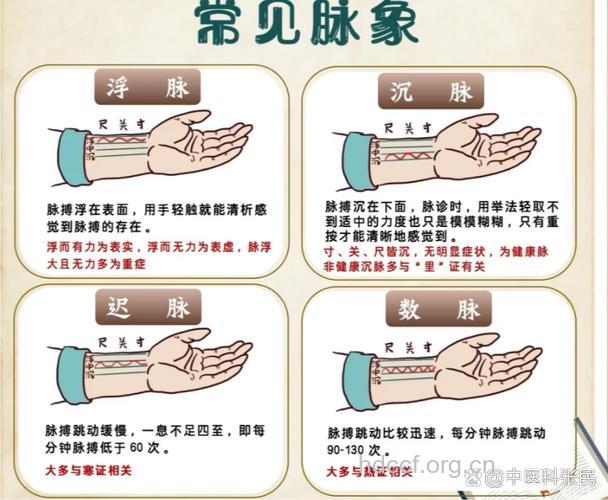 脉象滑是什么意思 滑脉有可能是喜脉