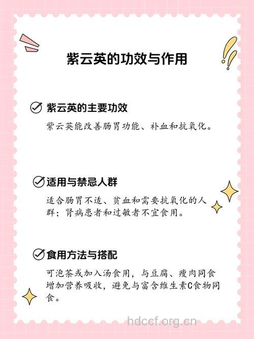 紫云英子的功效与作用
