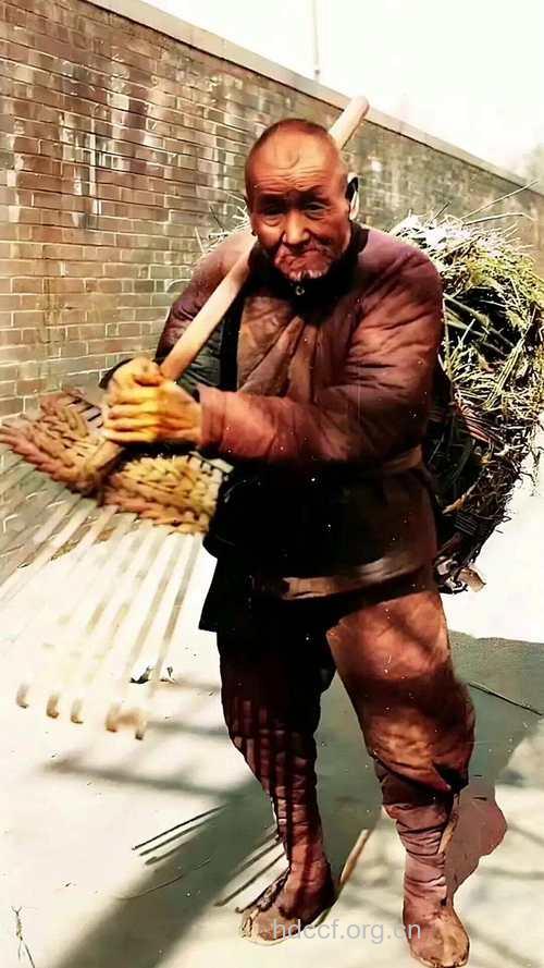 男性“十秃九富”脑力劳动者多