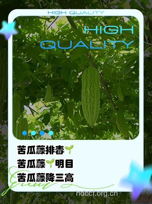 苦瓜藤的功效与作用