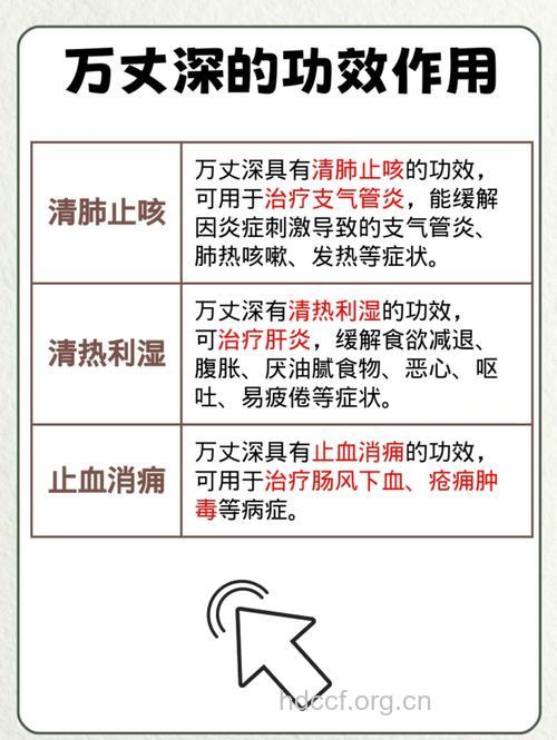 万丈深的功效与作用