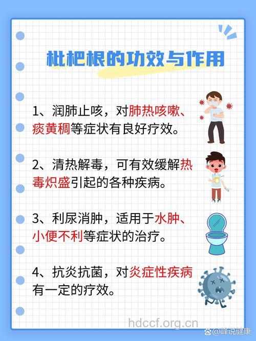 枇杷根的功效与作用