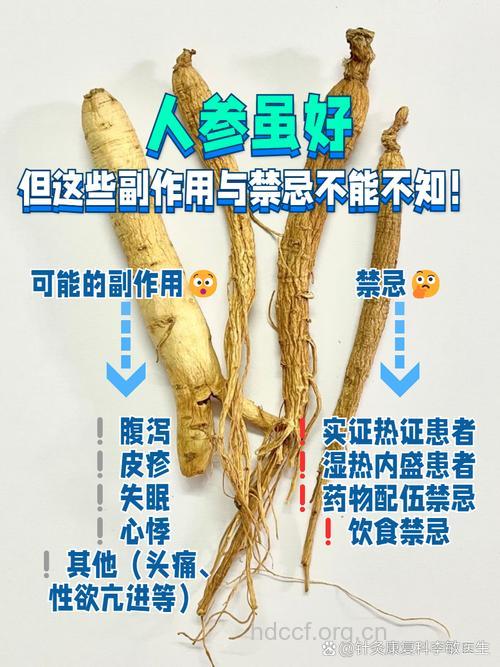 太白丽参的功效与作用