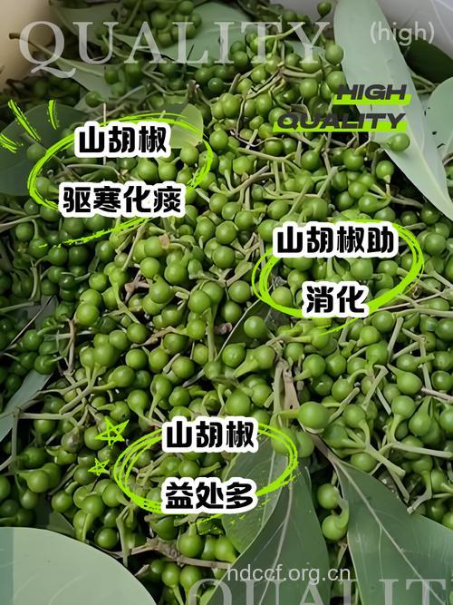 山胡椒的功效与作用