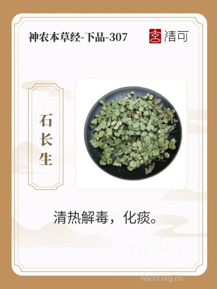 石长生的功效与作用