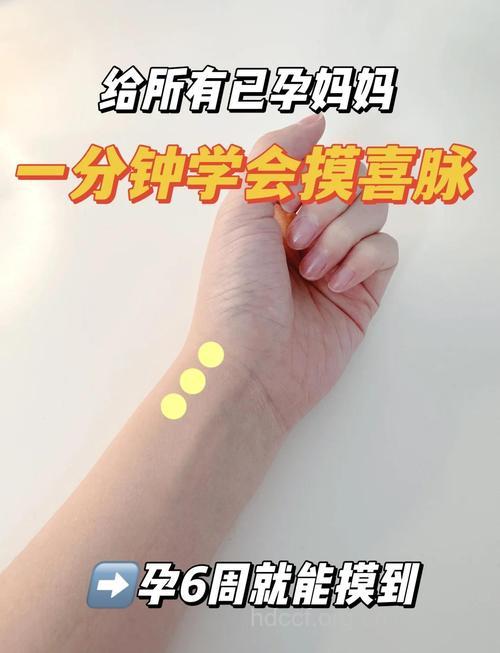 怀孕多久把脉能看出来
