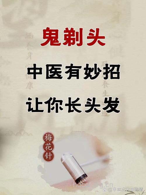 中医全面防治“鬼剃头”