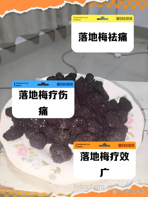 落叶梅的功效与作用