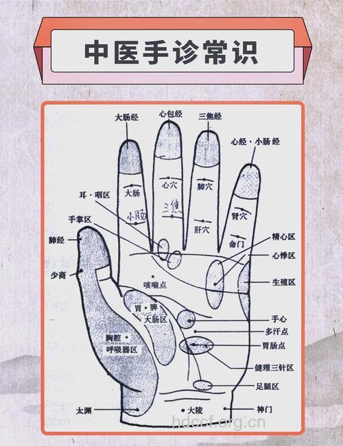 望闻问切 中医教你看手指来观病