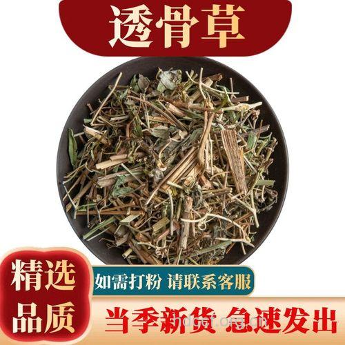 铁线透骨草的功效与作用