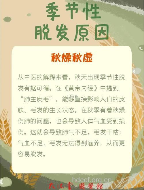 秋冬季节为何容易脱发？