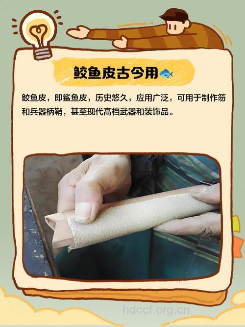 鲛鱼皮的功效与作用