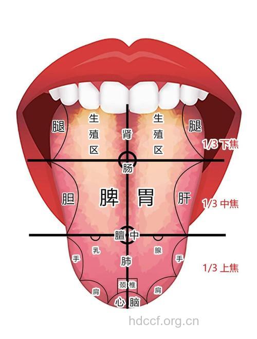 从舌苔看我们的脾胃健康