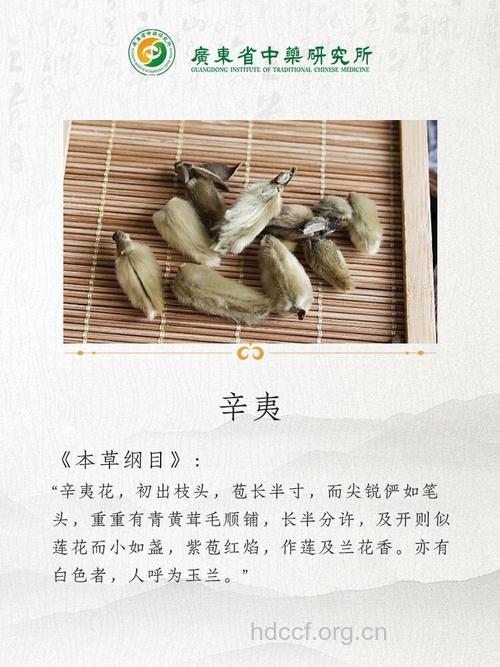 辛夷的功效与作用