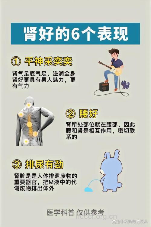 这些症状说明你的肾脏好