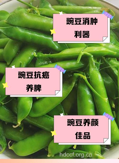 春季多吃豌豆可防癌治癌