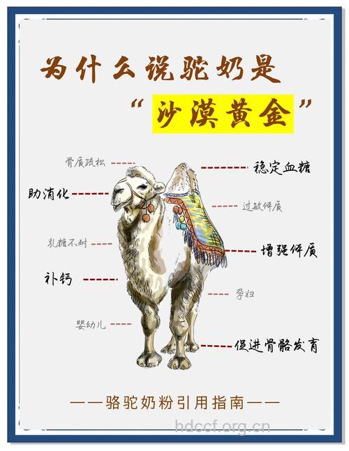 驼乳的功效与作用
