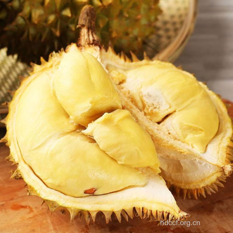 韶子的功效与作用