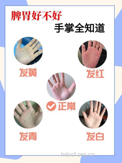 手感看健康 手冷脾肺虚弱