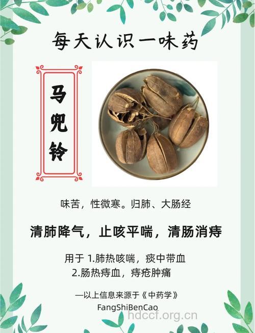 中药马兜铃可以治哪些疾病