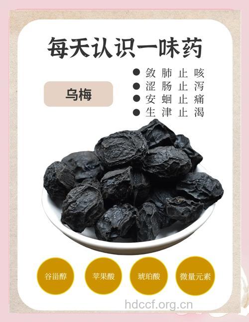 可口乌梅可以治疗哪些疾病