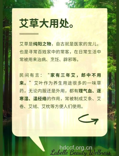 艾叶可以治疗哪些疾病